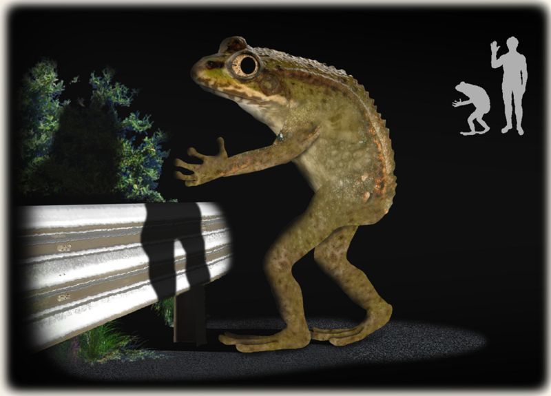 ラブランドのカエル男
